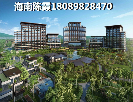 海南?？诘姆孔游磥?lái)會(huì)生紙嗎？