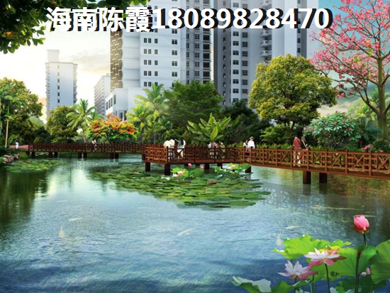 三亞碧桂園海棠墅商鋪touzi方向