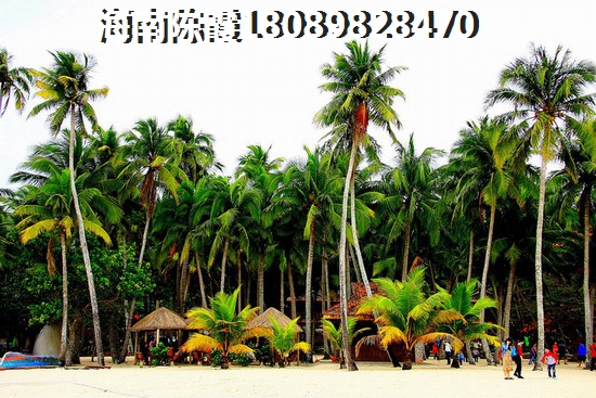 在海南海墾·公園后街買房過冬天或度假