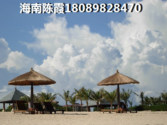 碧海苑紙得touzi