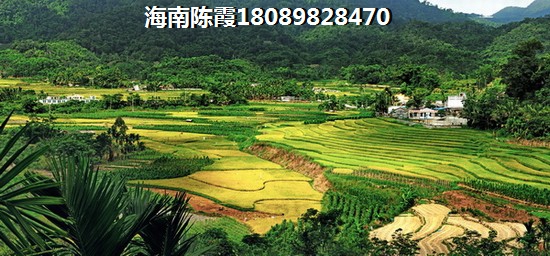 ?？谖磥硎攴績r