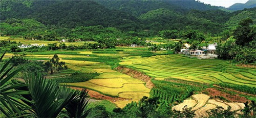 魯能南洋美麗匯房價(jià)延續(xù)上升，海南房價(jià)趨向解讀！