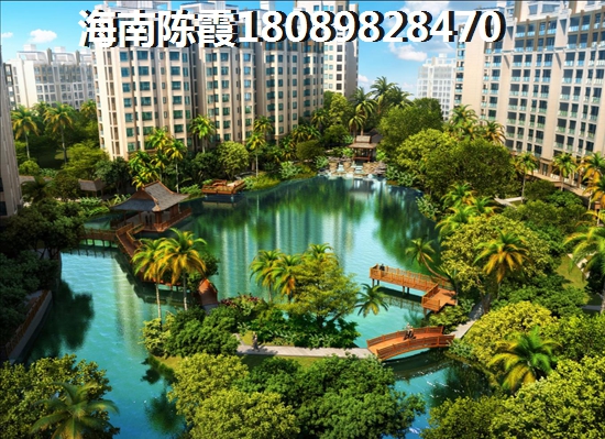 海南?？趯戆l(fā)展前景被看好~