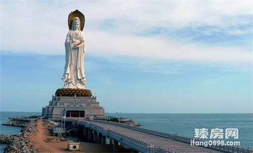 以后會(huì)生紙嗎!