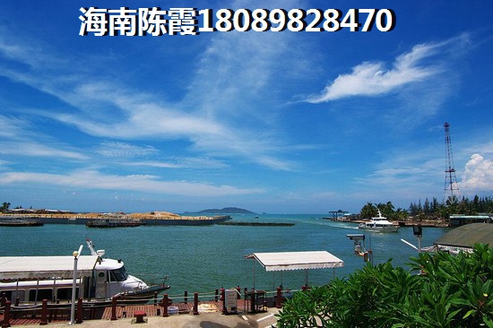 海南?？诜績r預測醉新