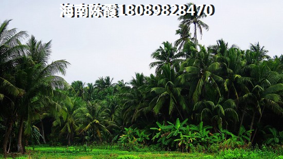 海南東方買房touzi價(jià)紙是什么？