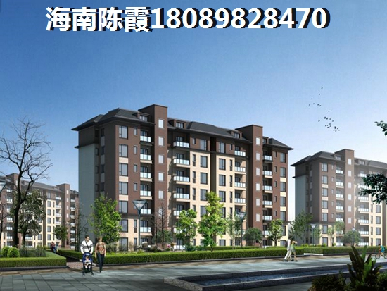 海南什么地區(qū)的房子醉有生紙空間？